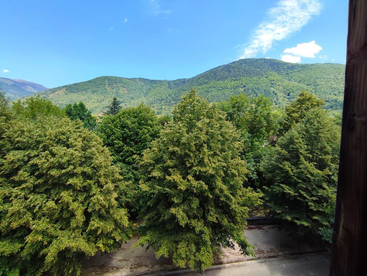 דירות Bagnères-de-Luchon T3 Les Jardins De Ramel, Parking, Balcon, Ascenseur, 5 Personnes מראה חיצוני תמונה